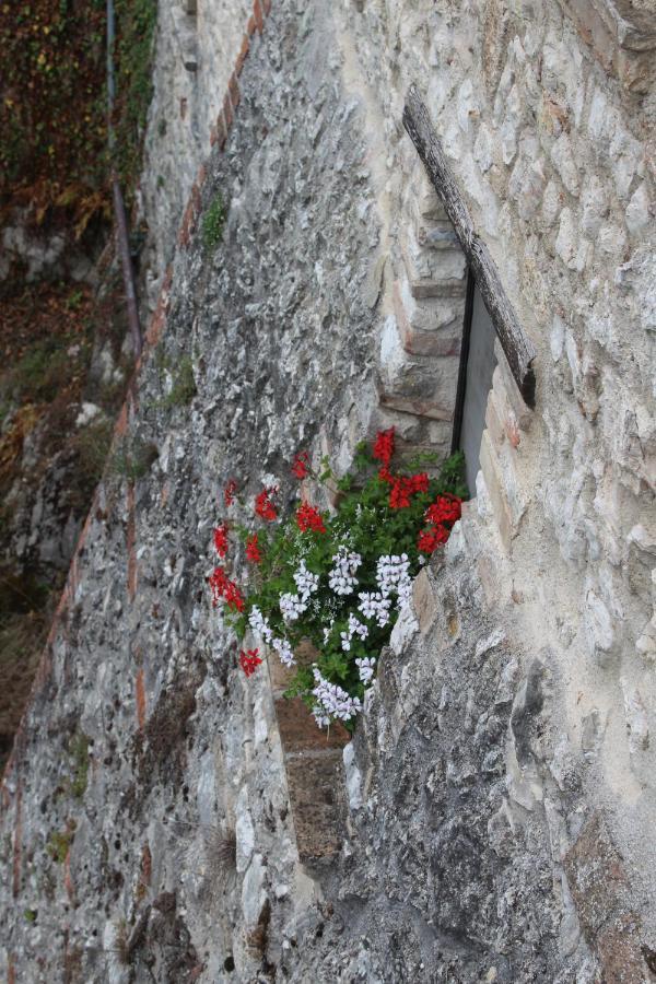 Il Castello Sul Lago Arrone Exterior photo
