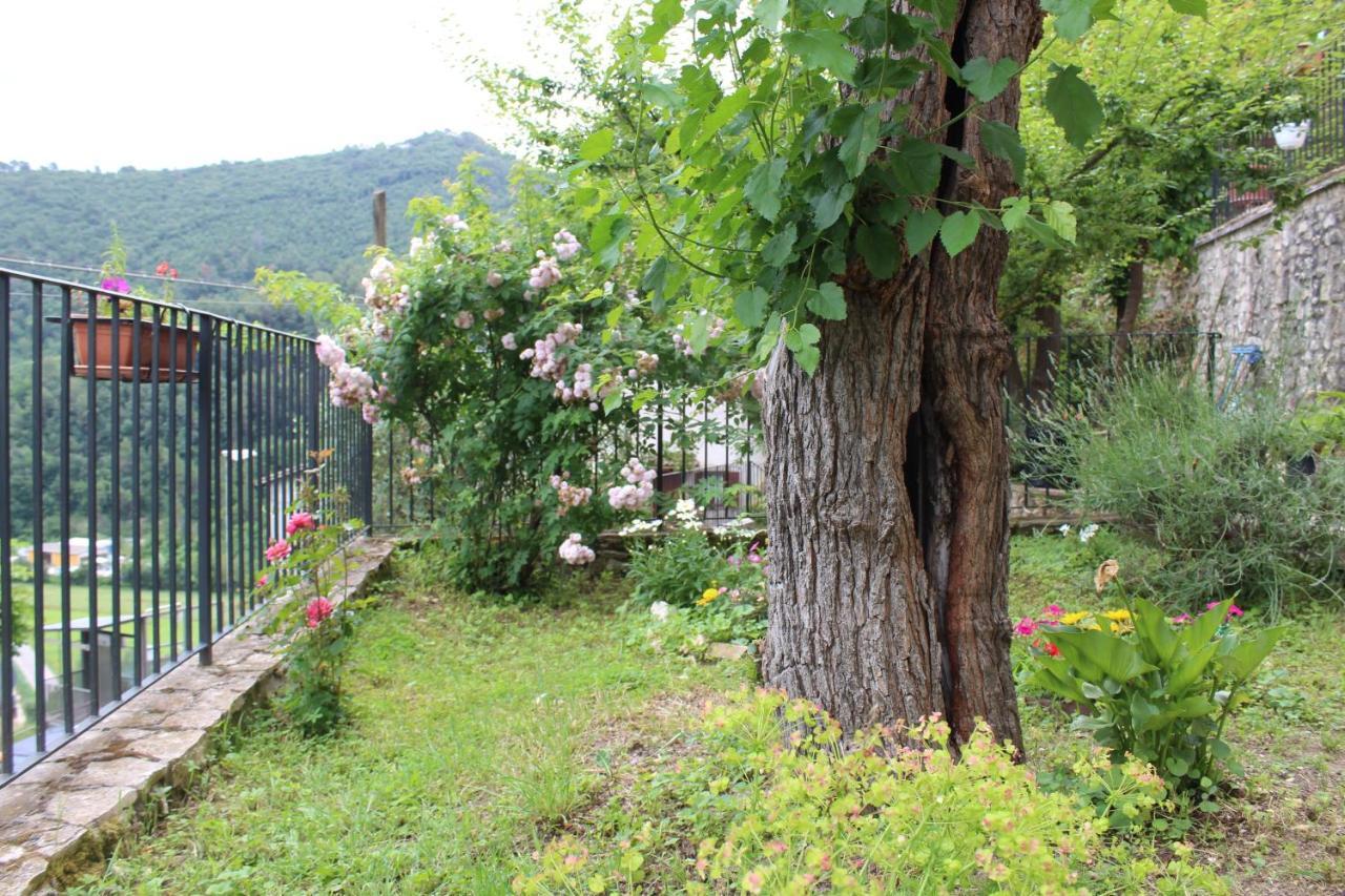 Il Castello Sul Lago Arrone Exterior photo